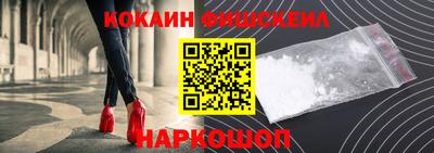 тгк Кингисепп