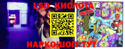 стаф Кимры