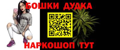 стаф Кимры