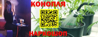 стаф Кимры