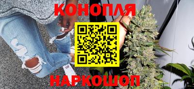 тгк Кингисепп