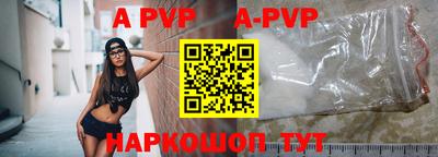 тгк Кингисепп