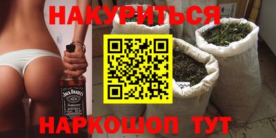 тгк Кингисепп