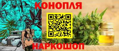 тгк Кингисепп