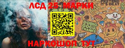 стаф Кимры