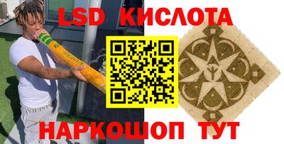 тгк Кингисепп