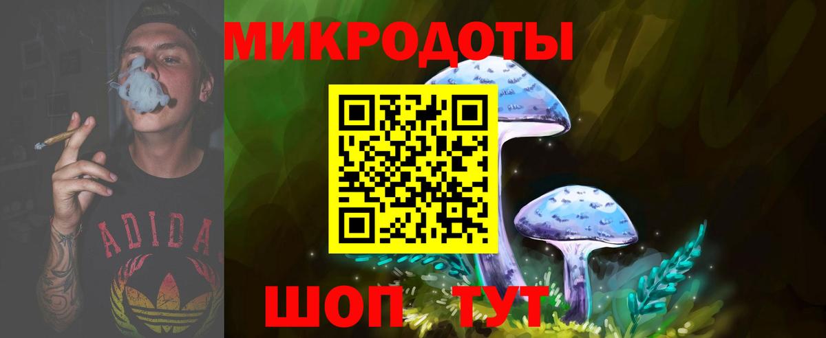 Галлюциногенные грибы Cubensis Коркино